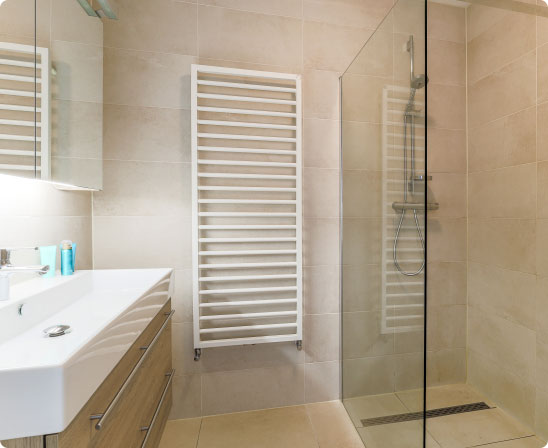 salle de bain avec douche